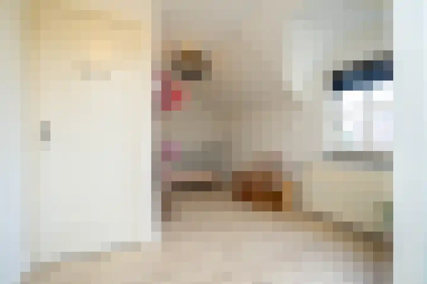 Nieuwstraat 9 Liessel thumbnail 42