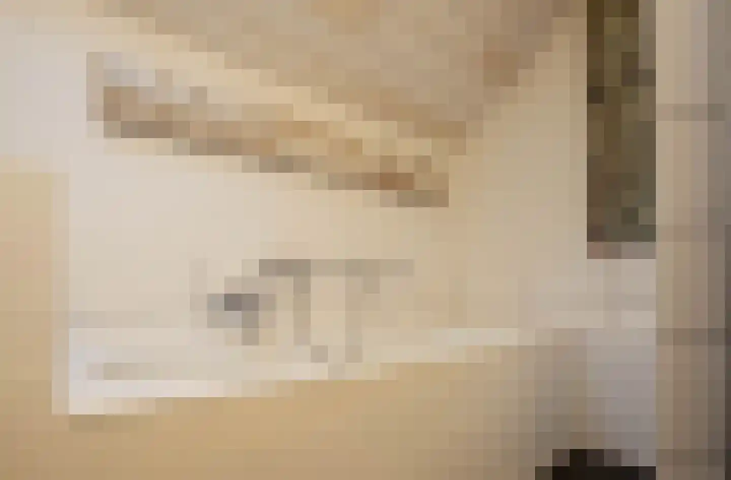 Nieuwstraat 9 Liessel thumbnail 46