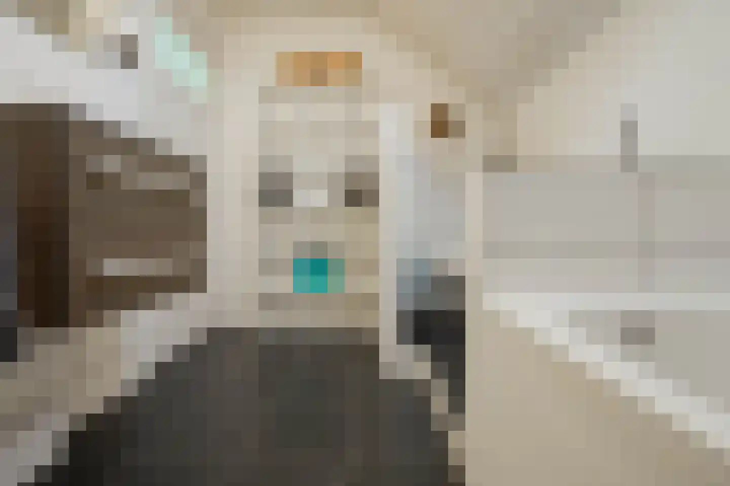 Nieuwstraat 9 Liessel thumbnail 47