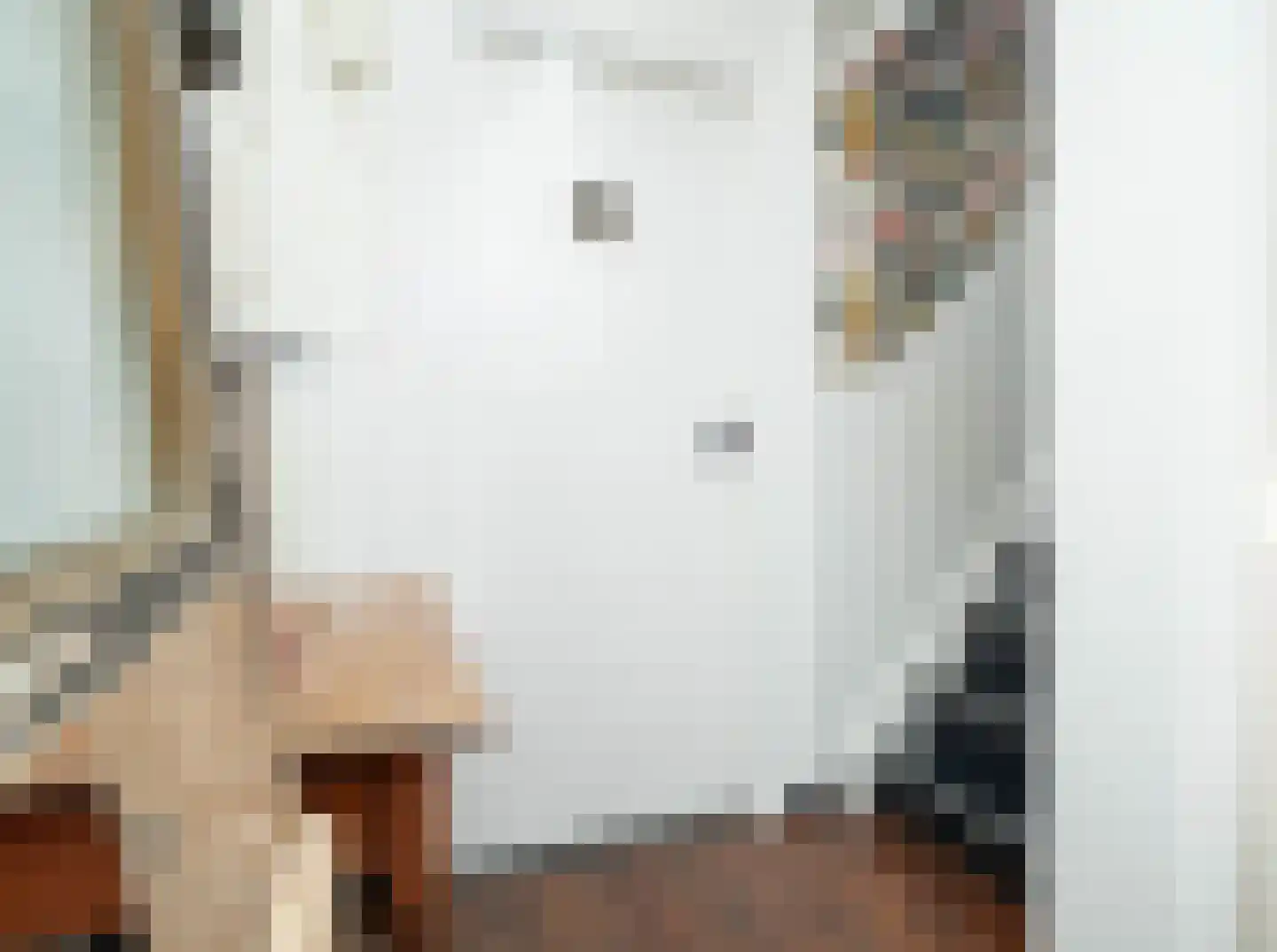 Nieuwstraat 9 Liessel thumbnail 5
