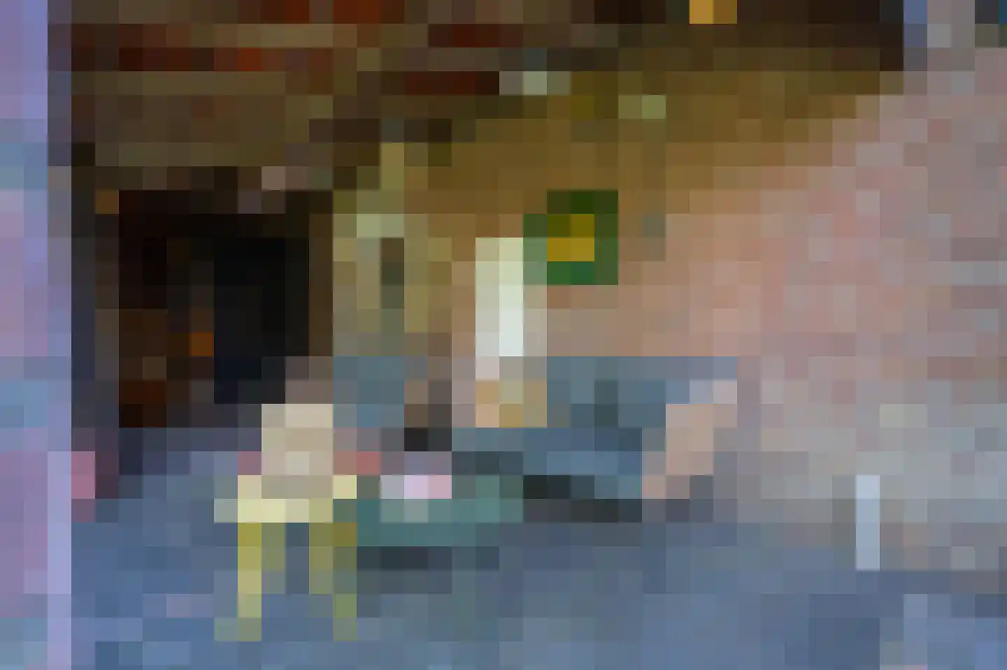 Nieuwstraat 9 Liessel thumbnail 52