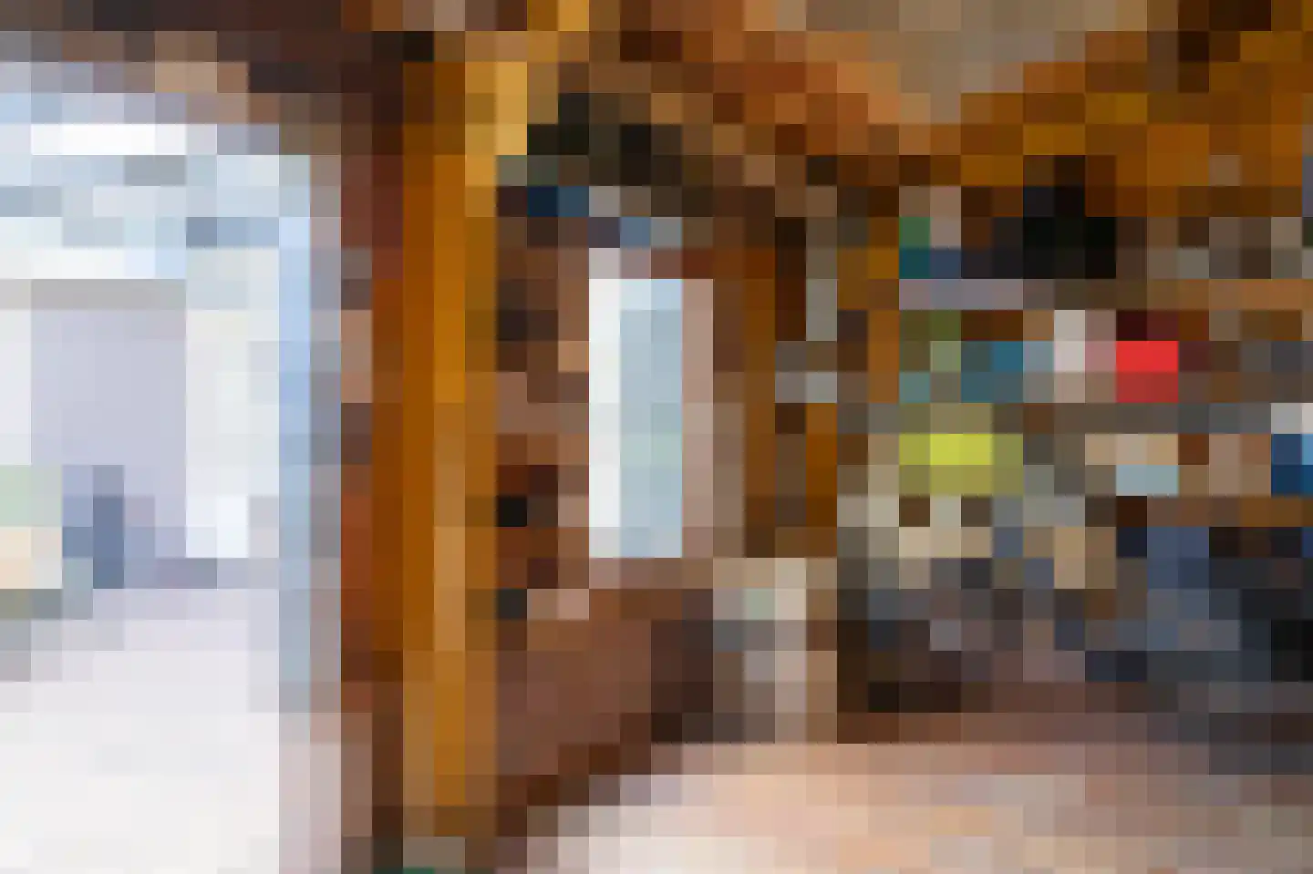 Nieuwstraat 9 Liessel thumbnail 63
