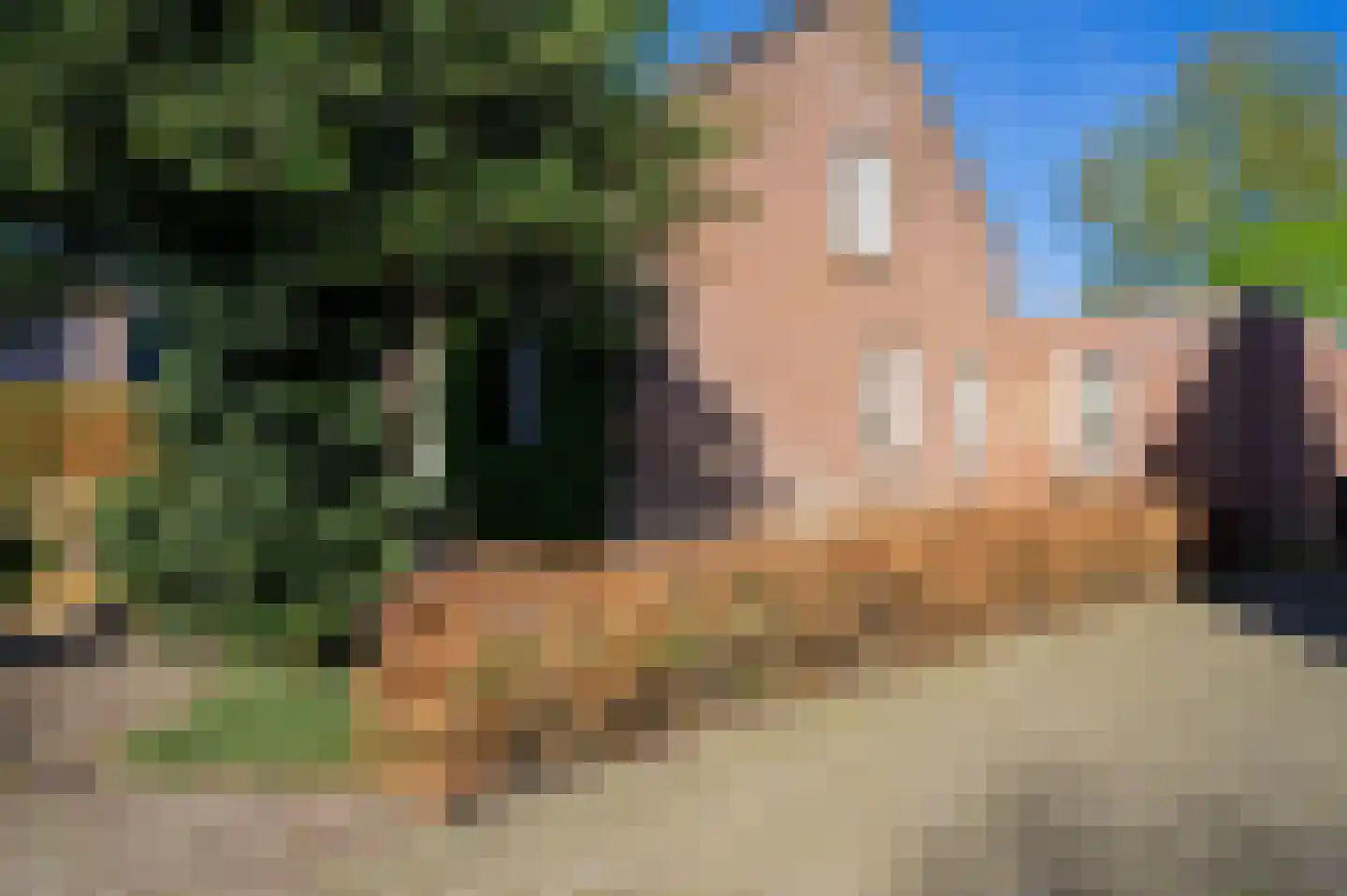 Nieuwstraat 9 Liessel thumbnail 70