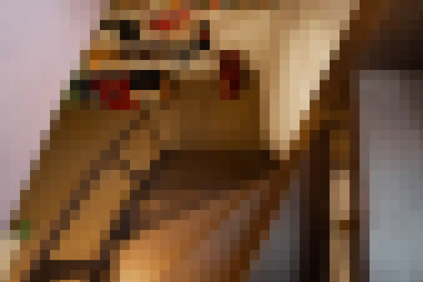 Nieuwstraat 9 Liessel thumbnail 8