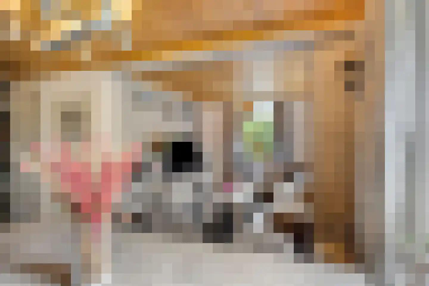 Nieuwstraat 9 Lithoijen thumbnail 11