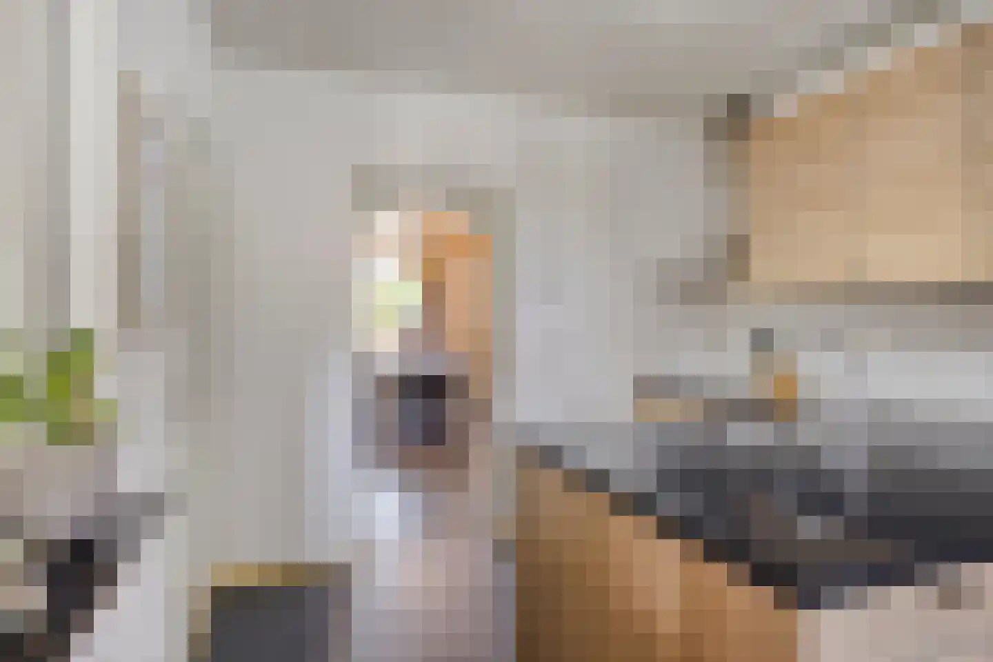 Nieuwstraat 9 Lithoijen thumbnail 15