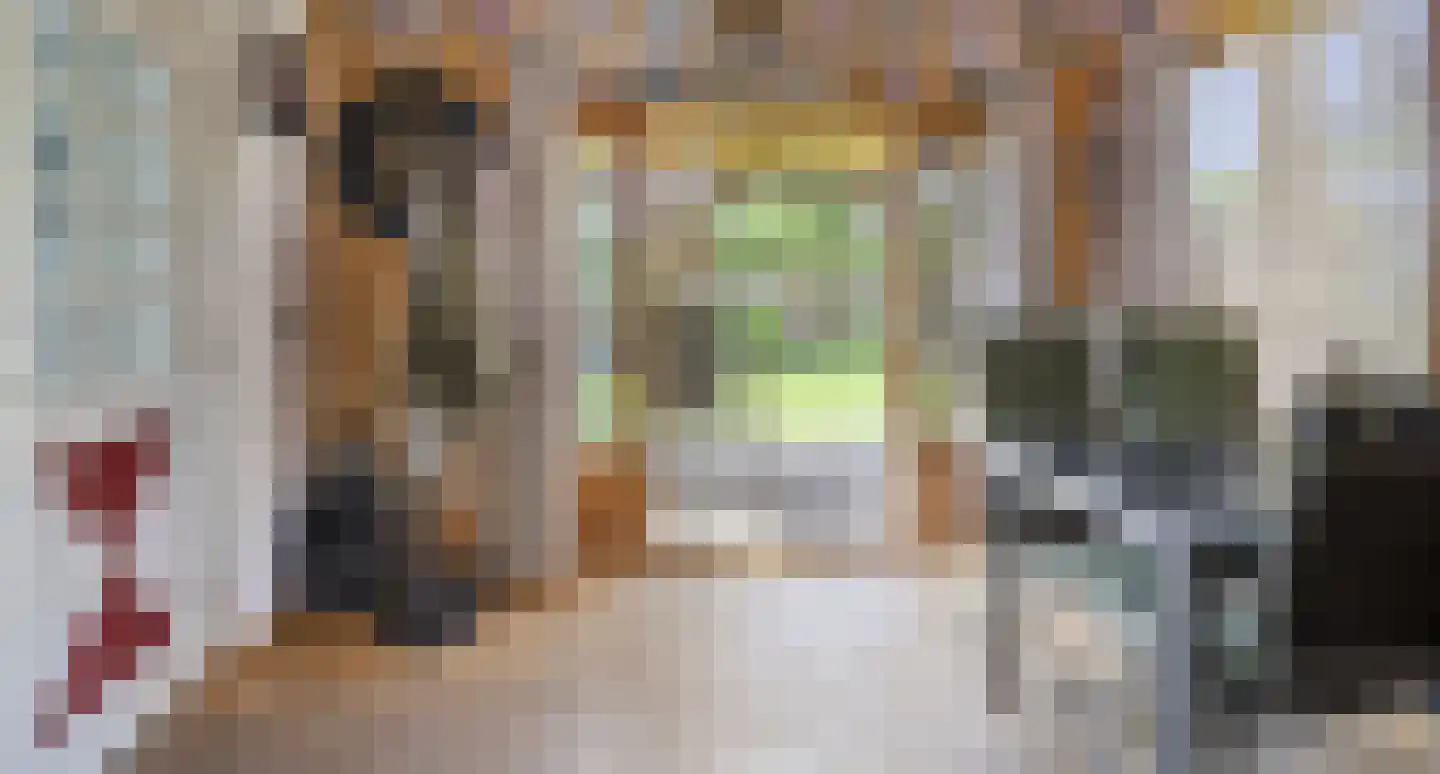 Nieuwstraat 9 Lithoijen thumbnail 21