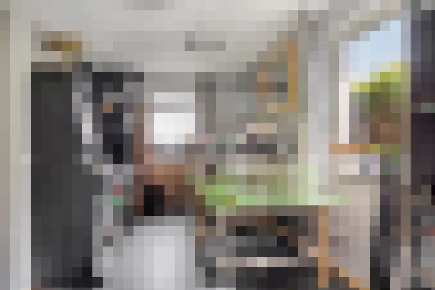 Nieuwstraat 9 Lithoijen thumbnail 22