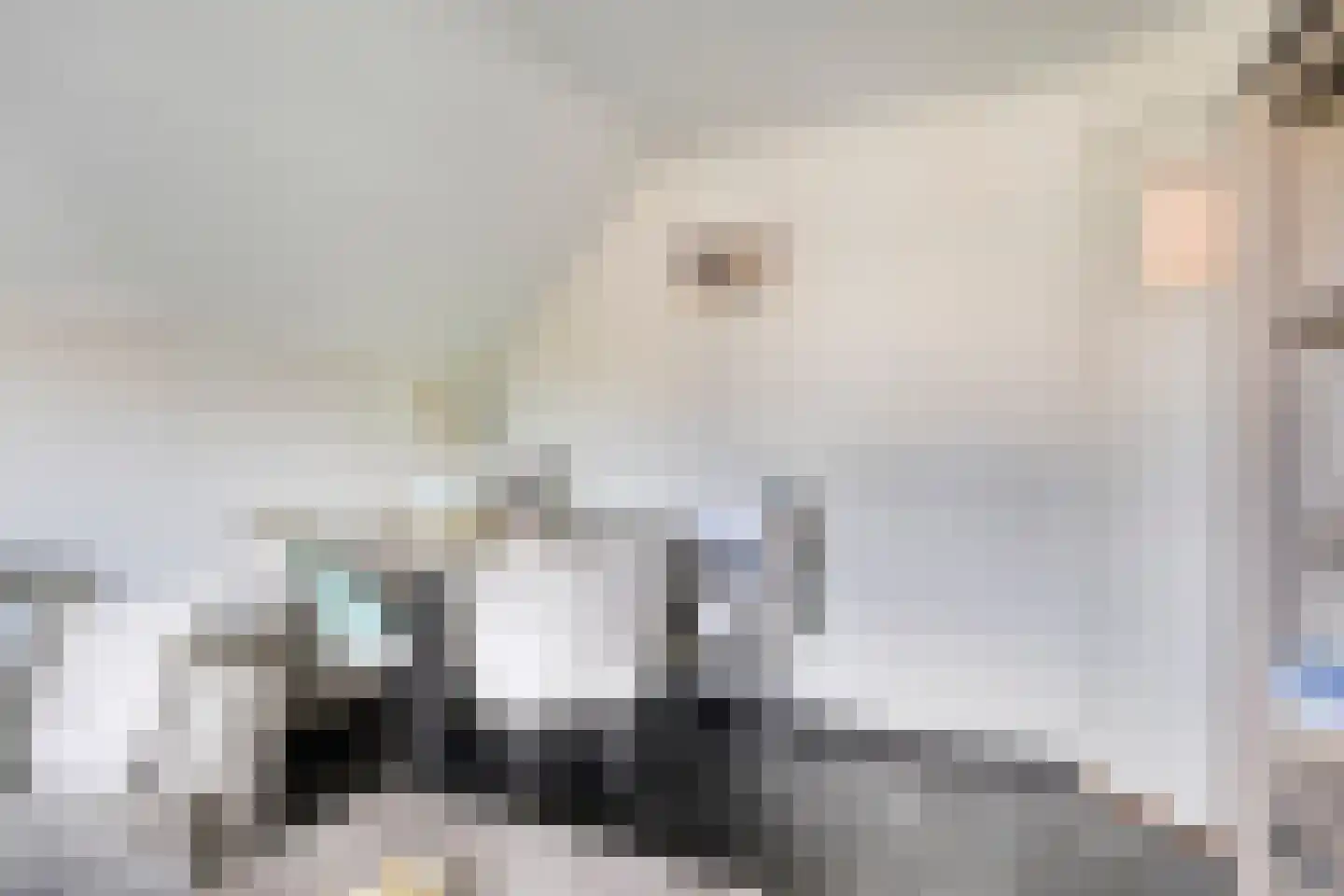Nieuwstraat 9 Lithoijen thumbnail 33