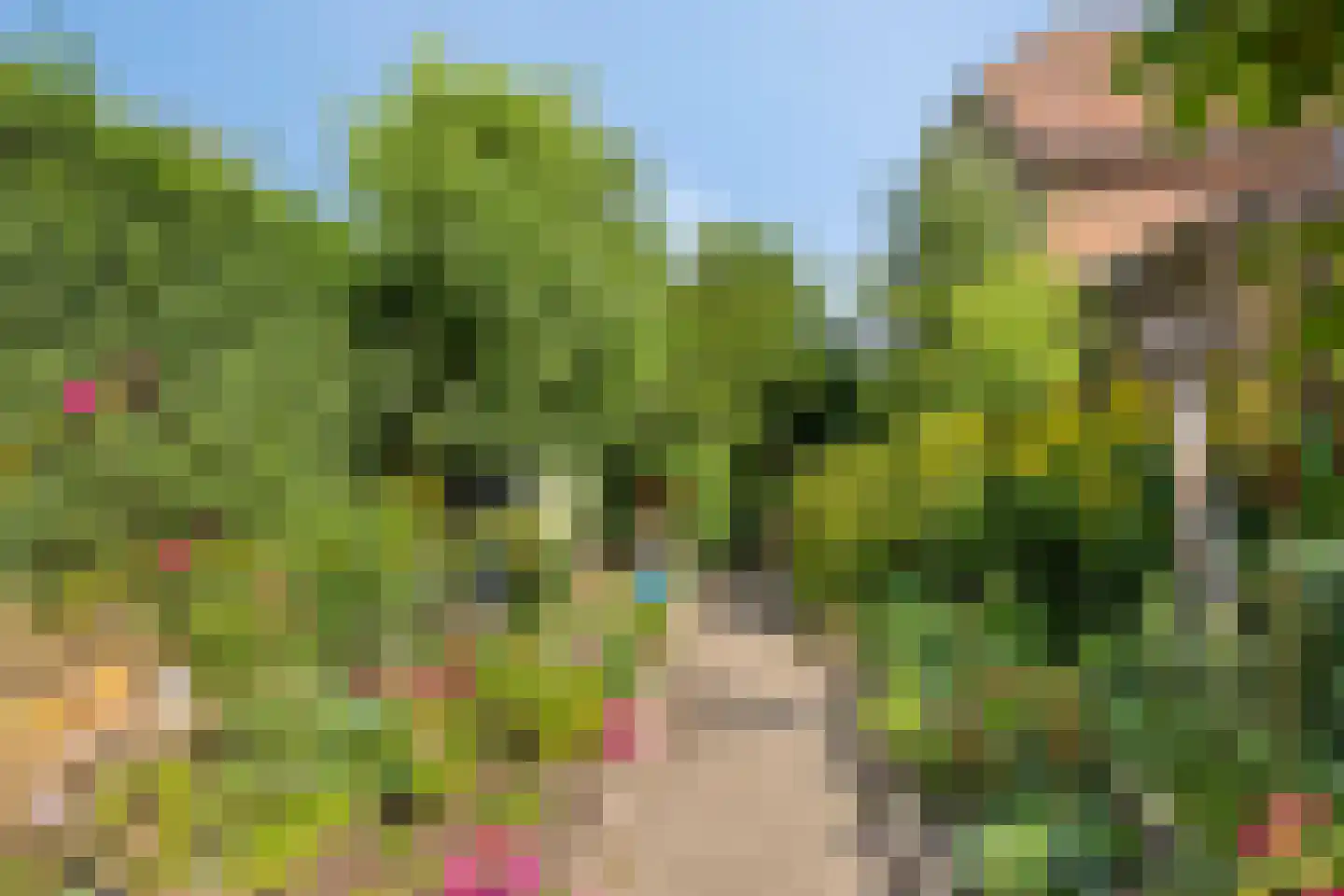 Nieuwstraat 9 Lithoijen thumbnail 44