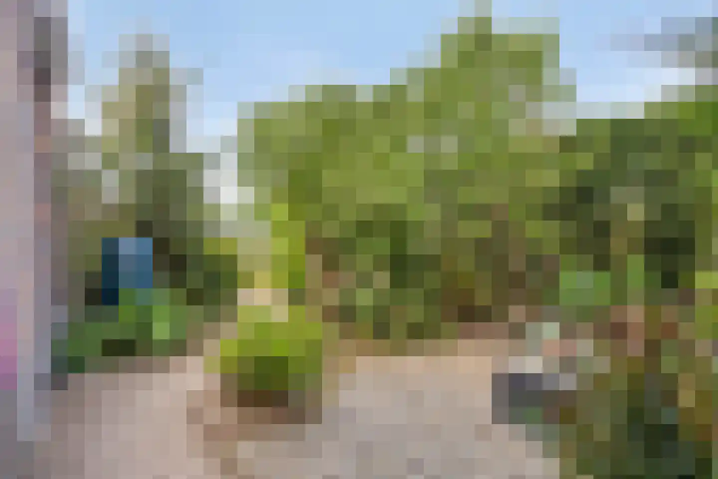 Nieuwstraat 9 Lithoijen thumbnail 54