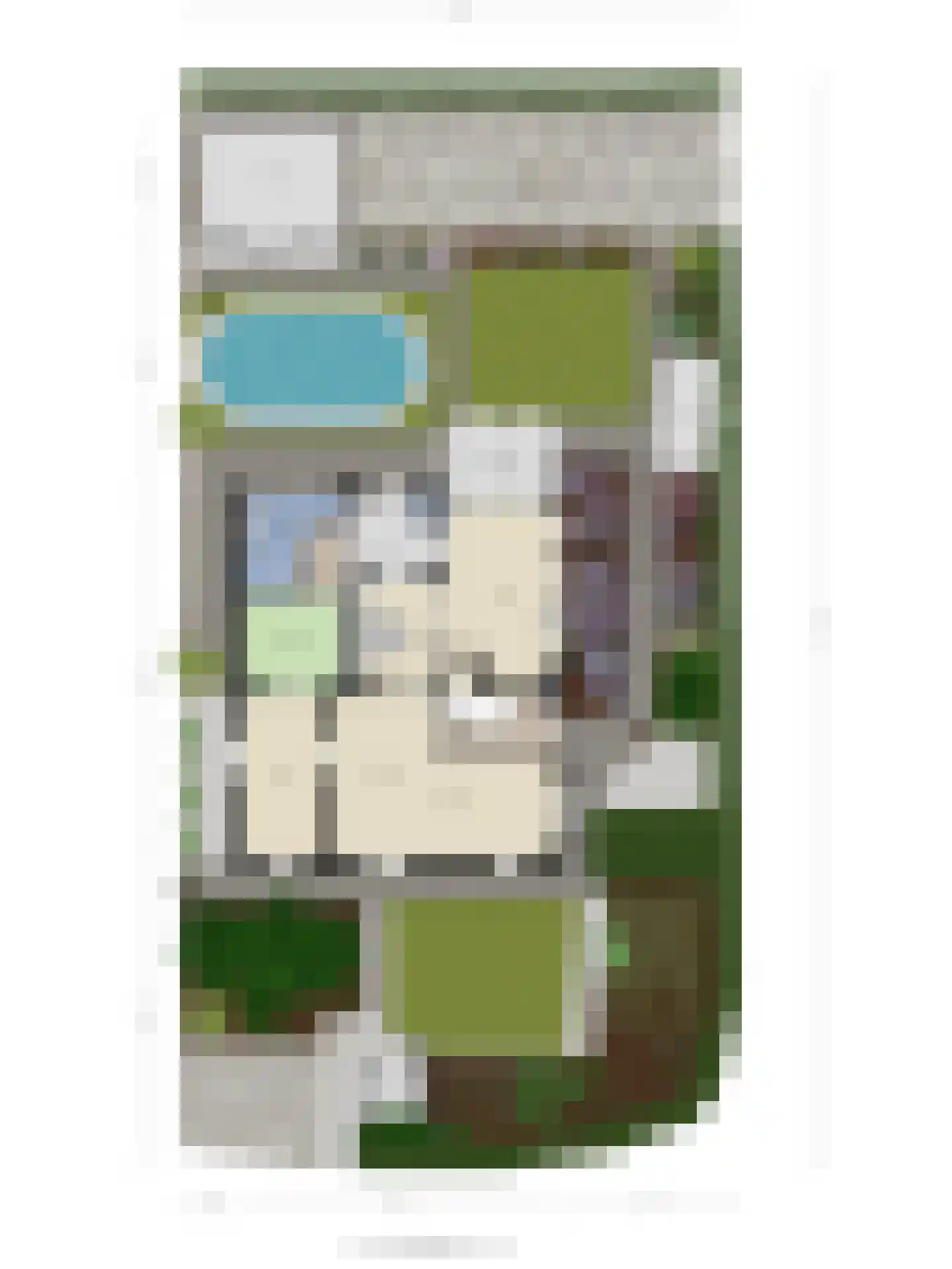 Nieuwstraat 9 Lithoijen thumbnail 61