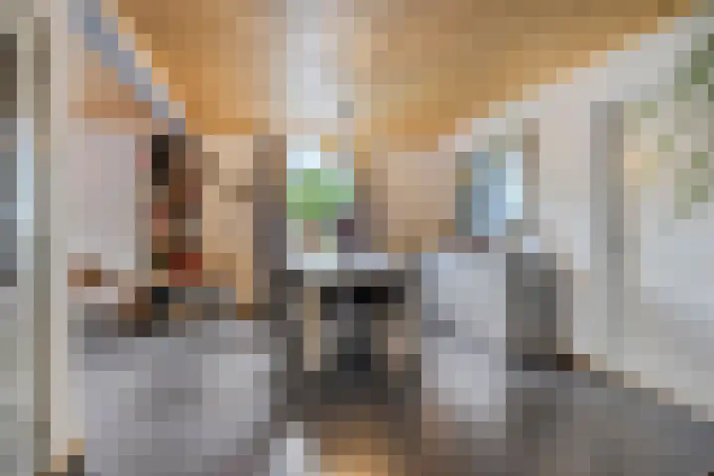 Nieuwstraat 9 Lithoijen thumbnail 7