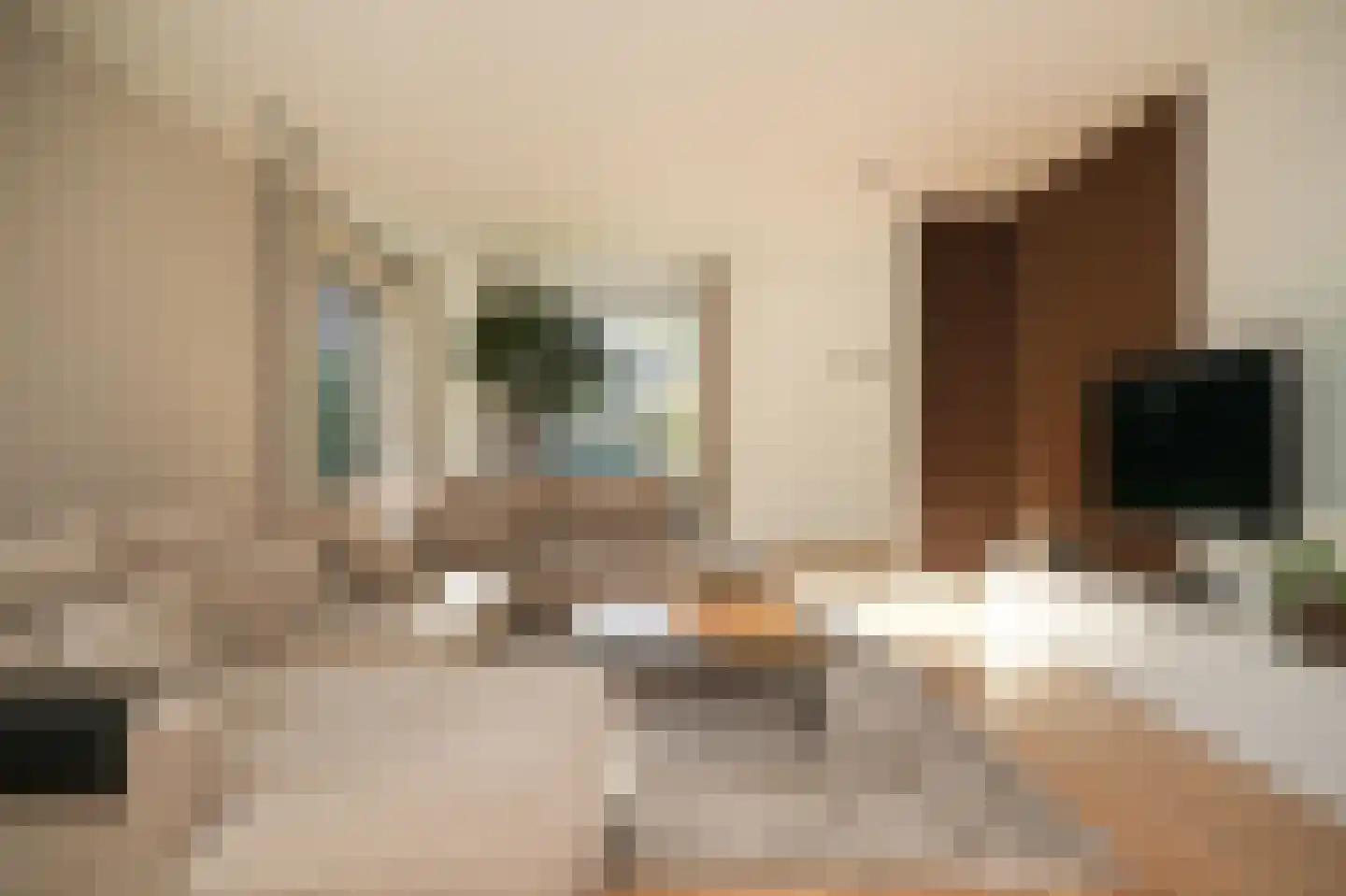 Nieuwstraat 9 Veen thumbnail 10