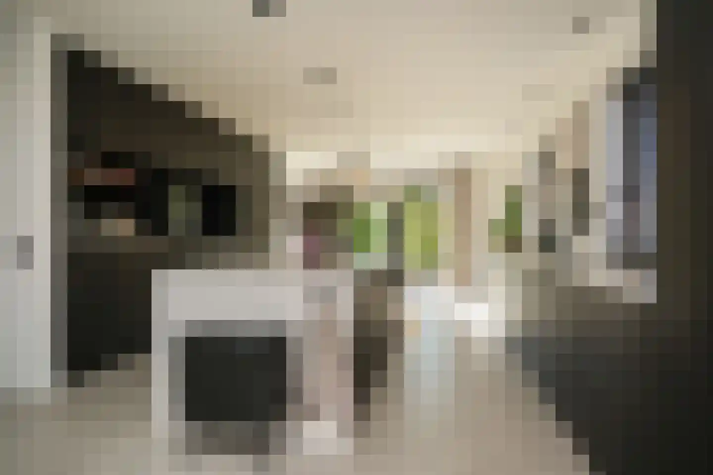 Nieuwstraat 9 Veen thumbnail 22