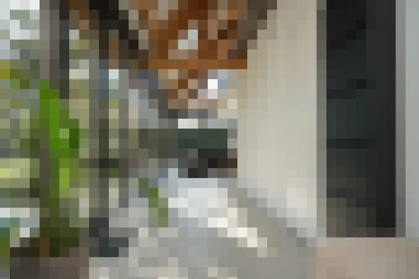 Nieuwstraat 9 Veen thumbnail 25
