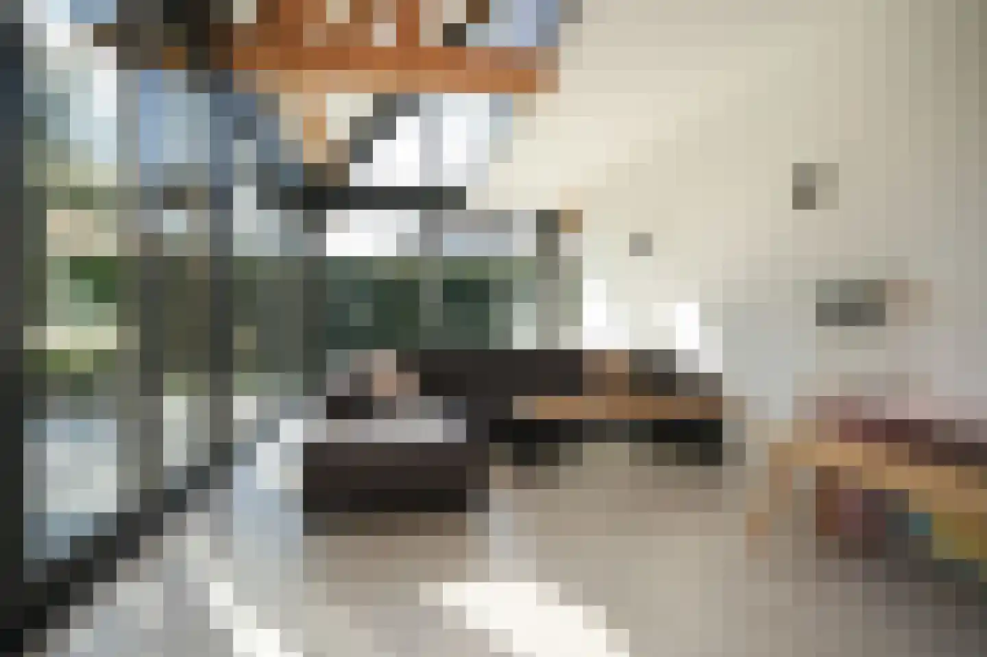 Nieuwstraat 9 Veen thumbnail 26
