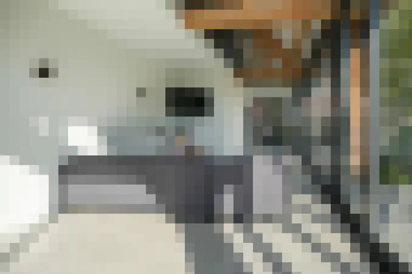 Nieuwstraat 9 Veen thumbnail 27