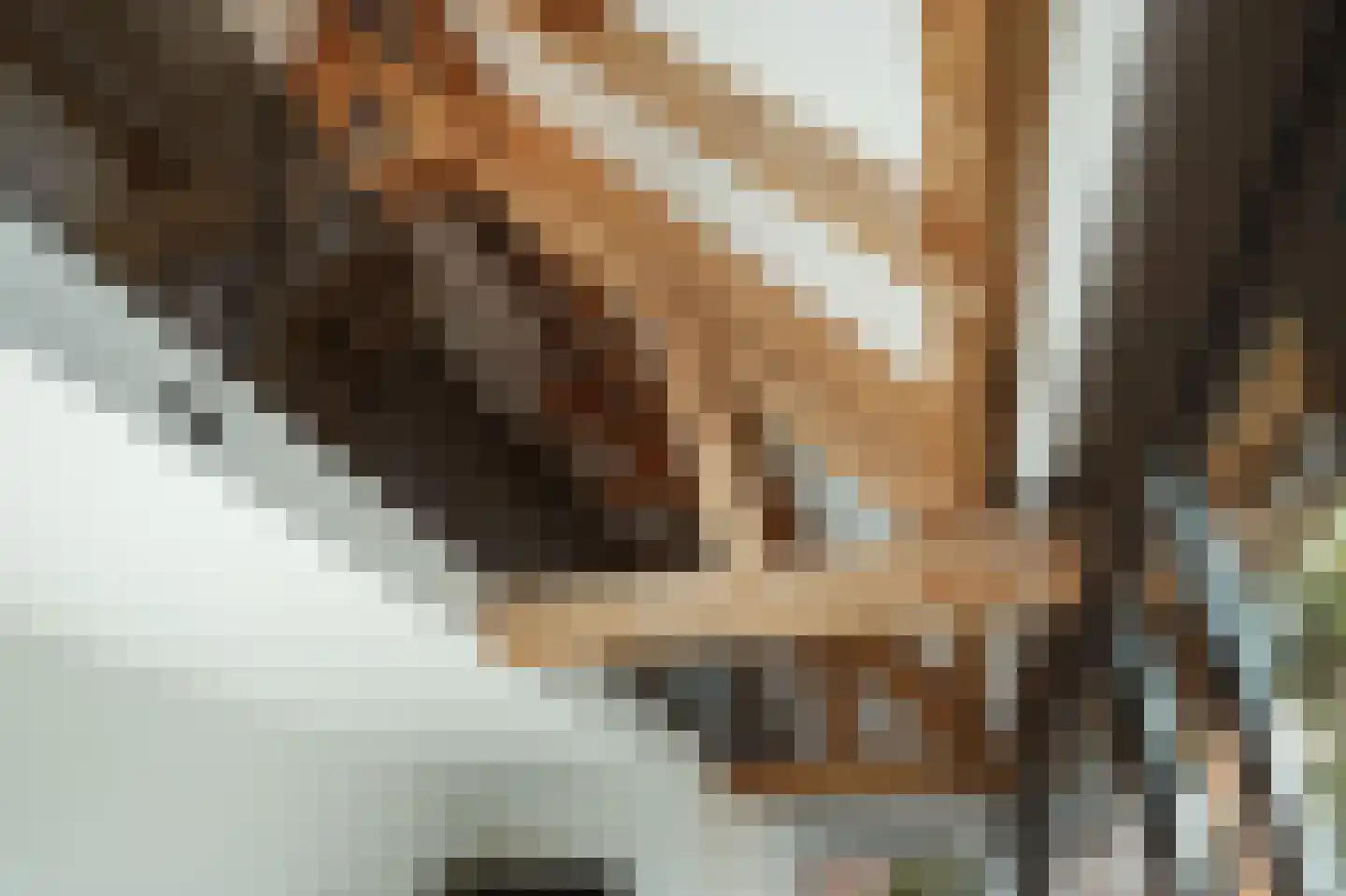 Nieuwstraat 9 Veen thumbnail 30
