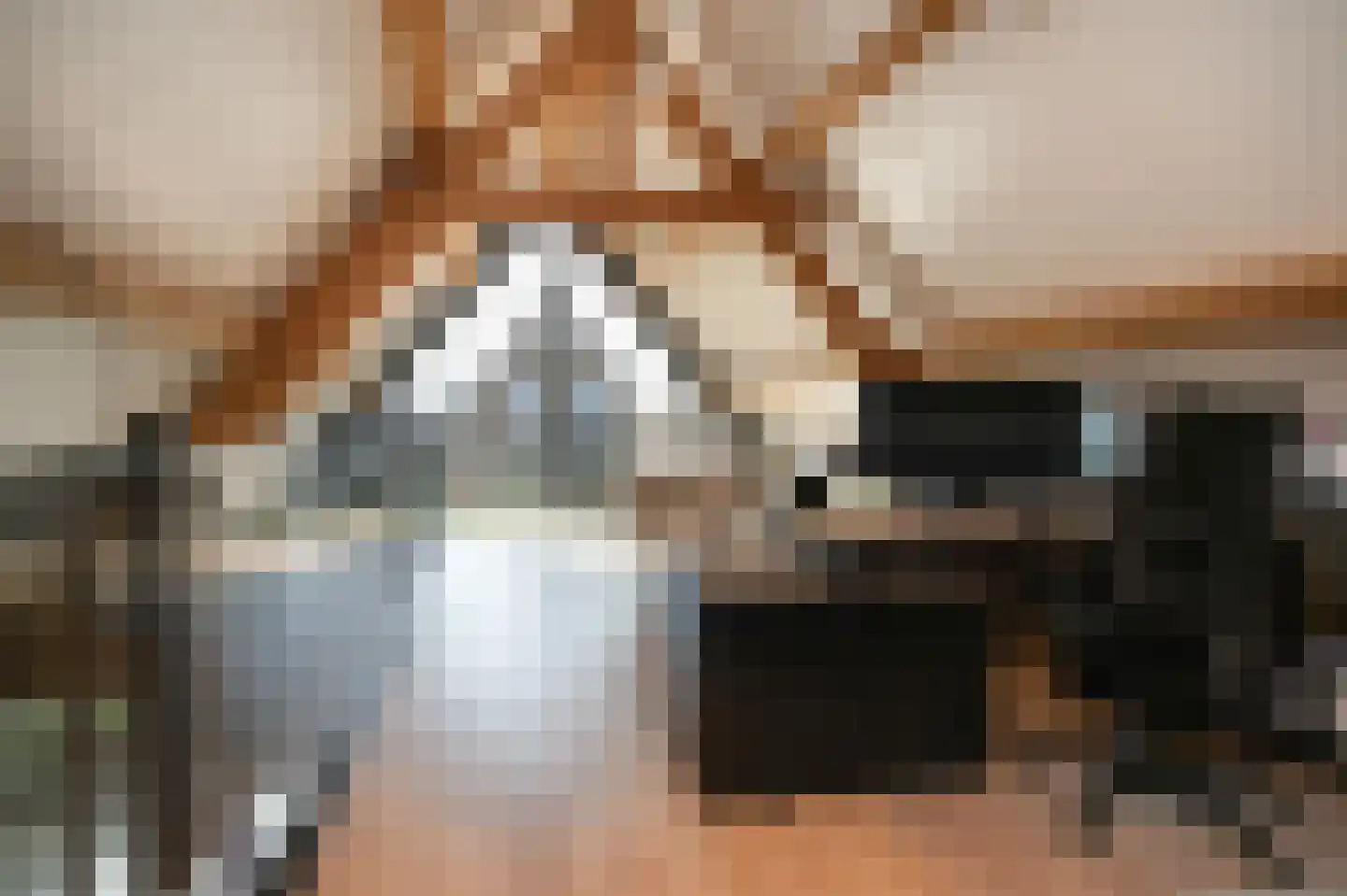 Nieuwstraat 9 Veen thumbnail 32