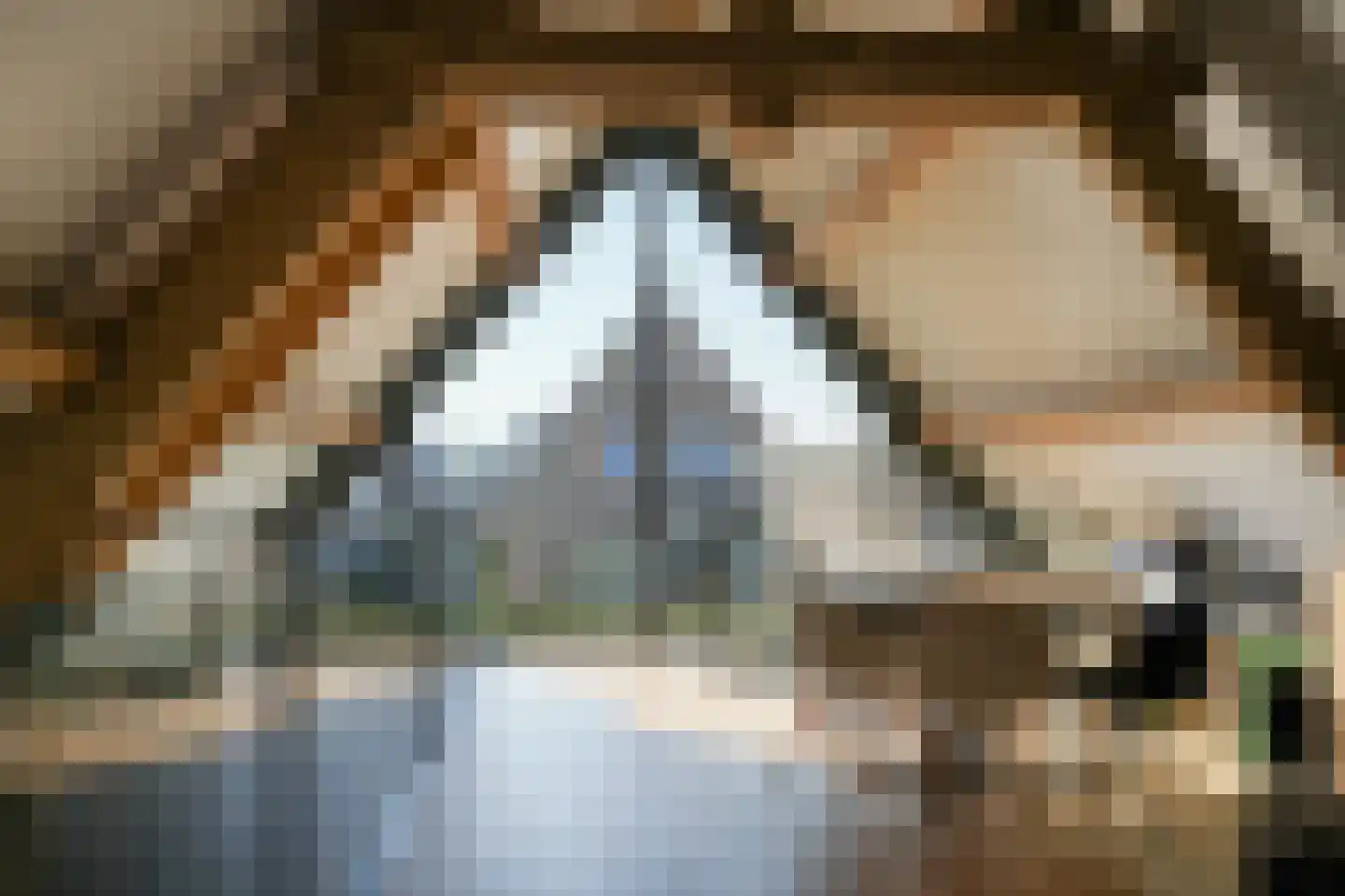 Nieuwstraat 9 Veen thumbnail 33
