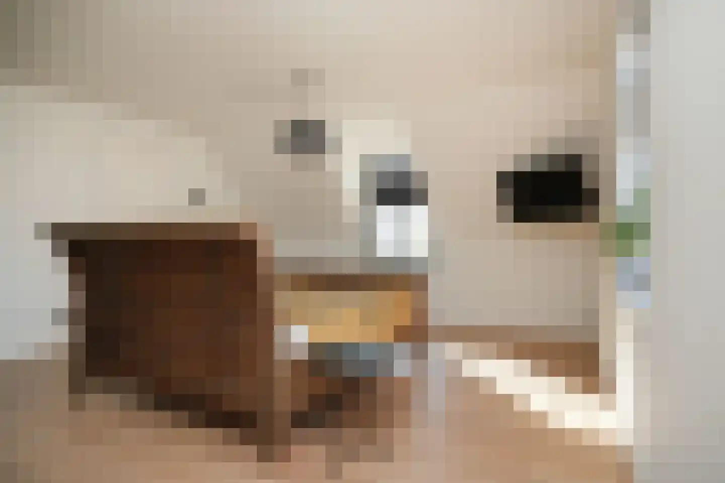 Nieuwstraat 9 Veen thumbnail 34