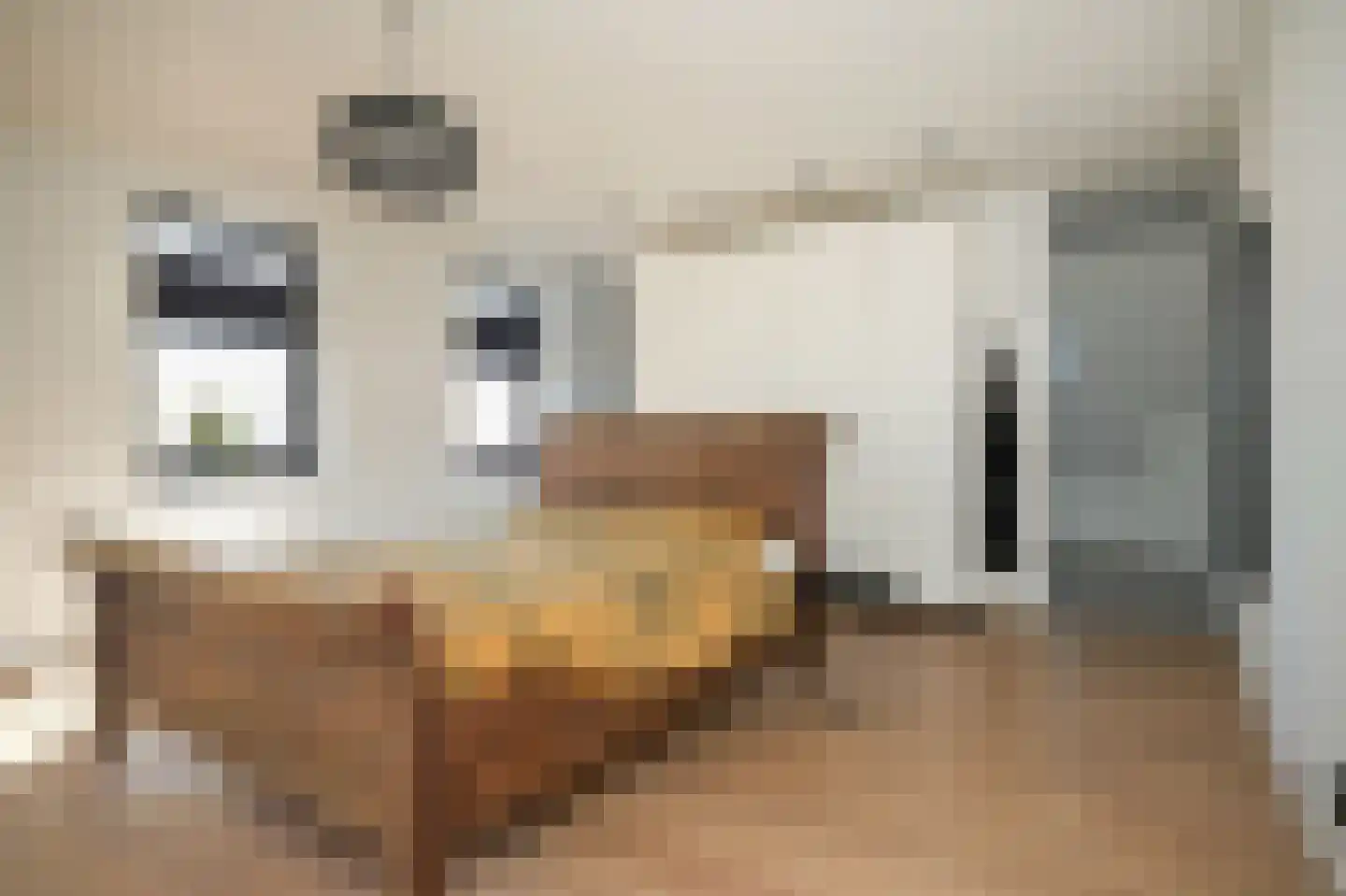 Nieuwstraat 9 Veen thumbnail 35