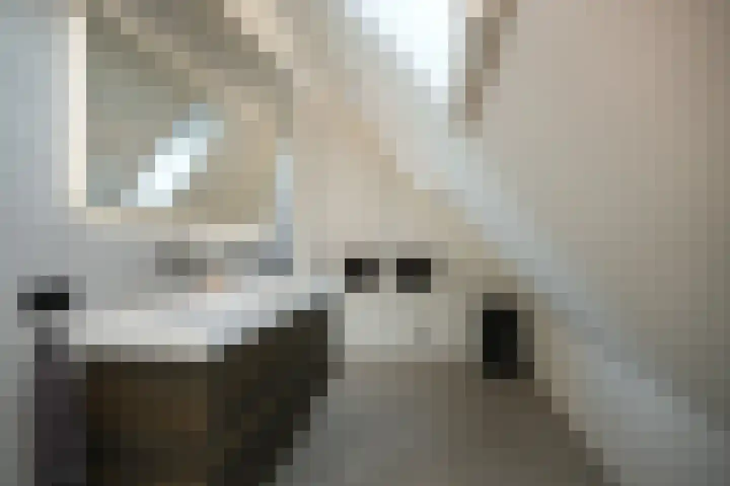 Nieuwstraat 9 Veen thumbnail 36