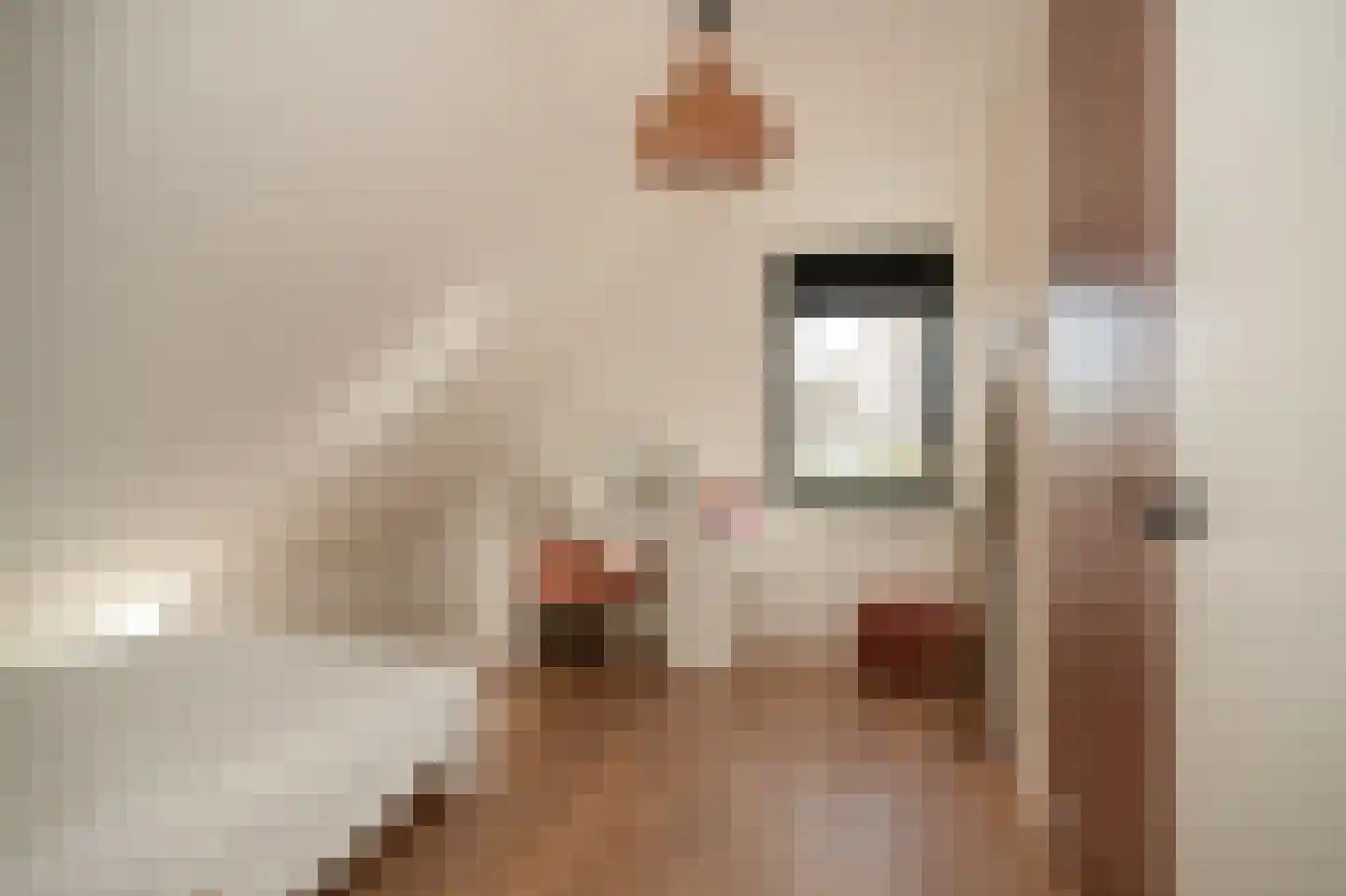 Nieuwstraat 9 Veen thumbnail 38