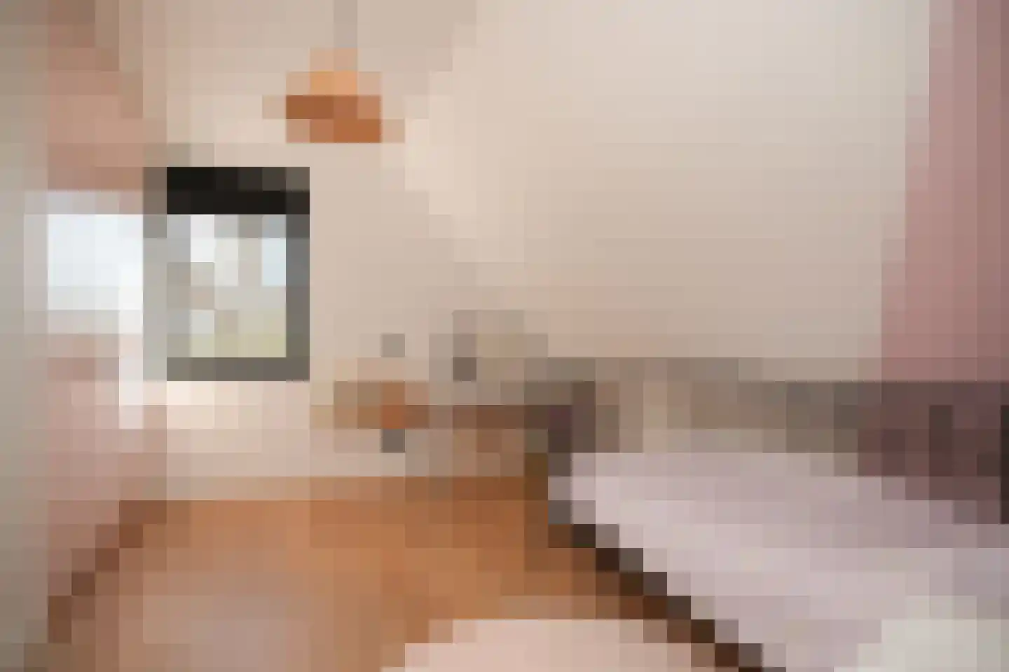 Nieuwstraat 9 Veen thumbnail 43