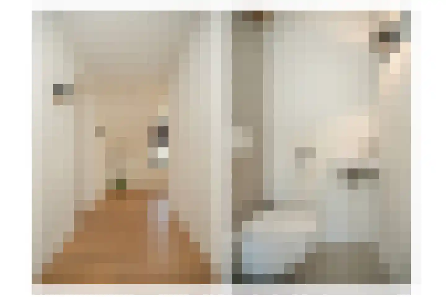 Nieuwstraat 9 Veen thumbnail 44