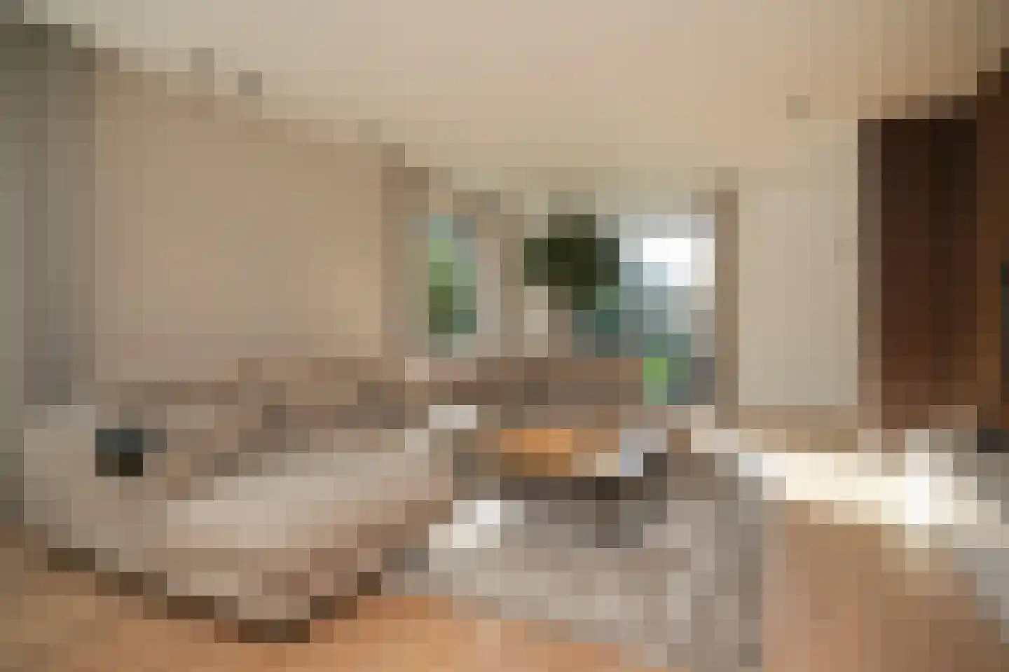 Nieuwstraat 9 Veen thumbnail 5