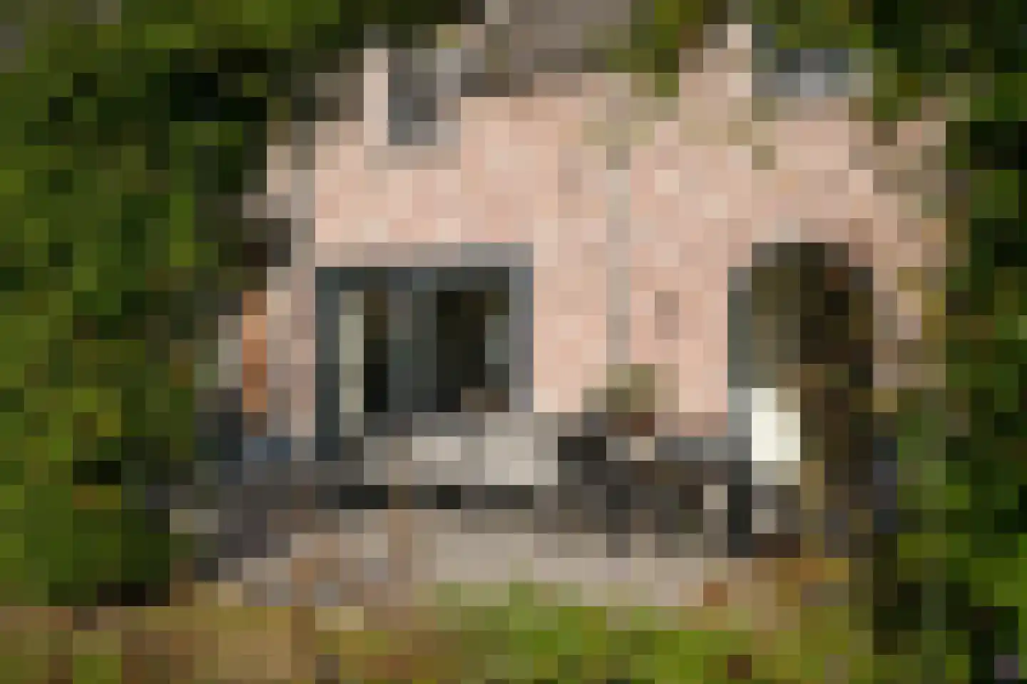 Nieuwstraat 9 Veen thumbnail 50
