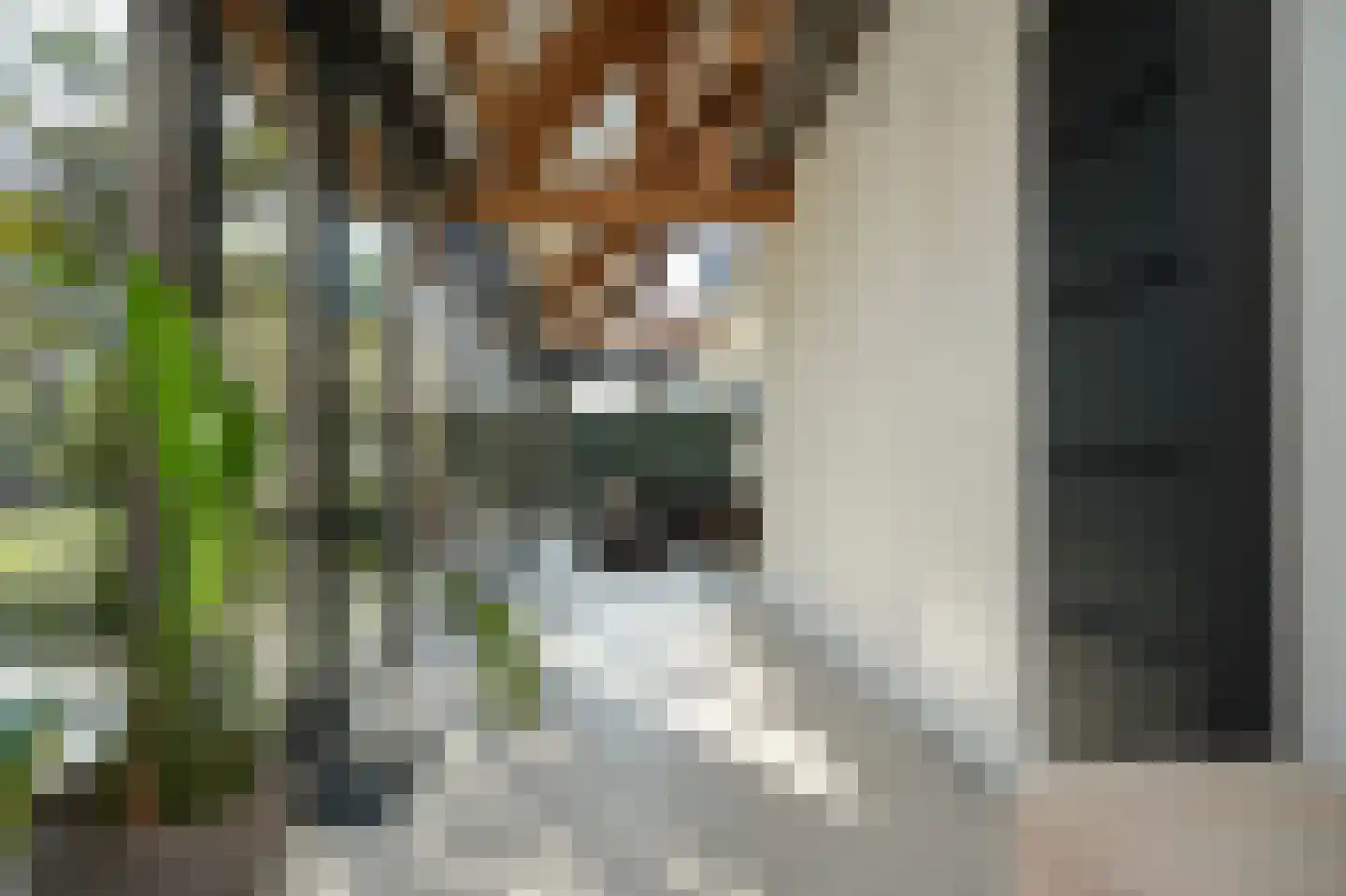 Nieuwstraat 9 Veen thumbnail 6