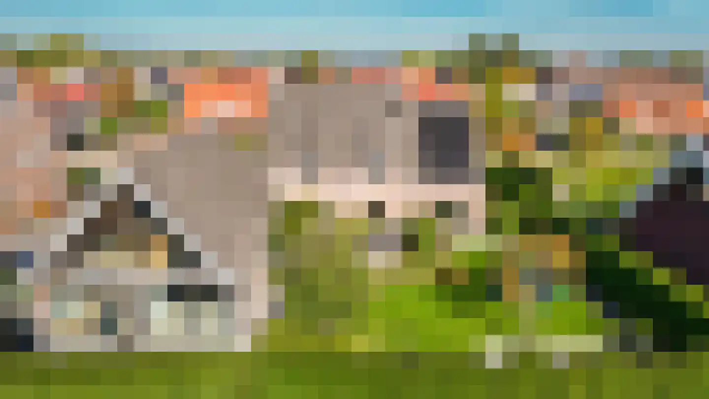 Nieuwstraat 9 Veen thumbnail 67