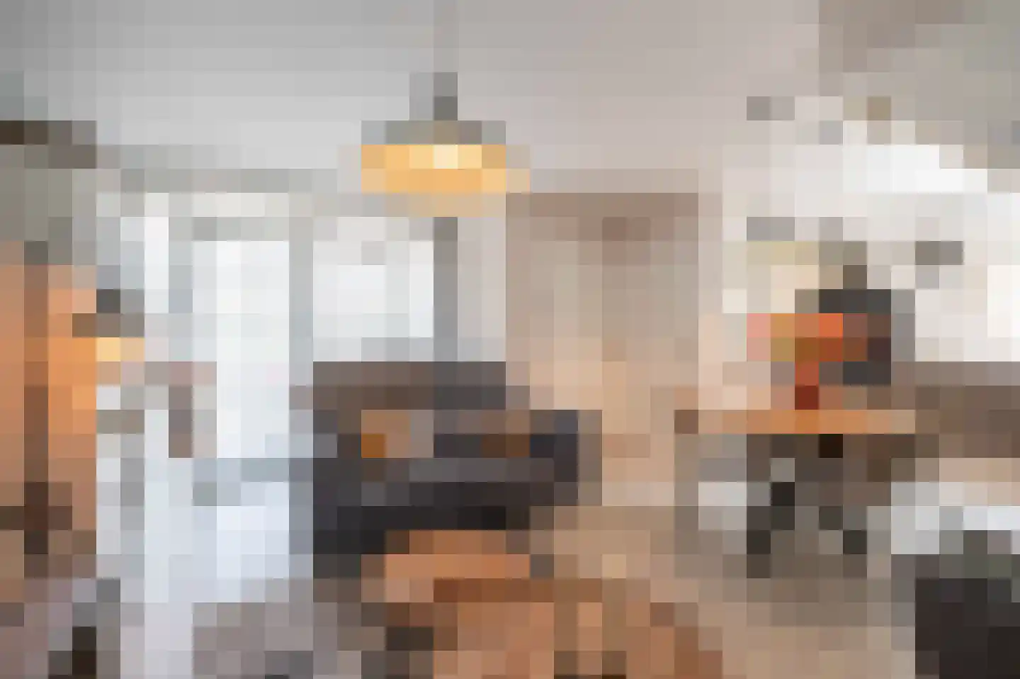Nieuwstraat 9 Zegge thumbnail 39