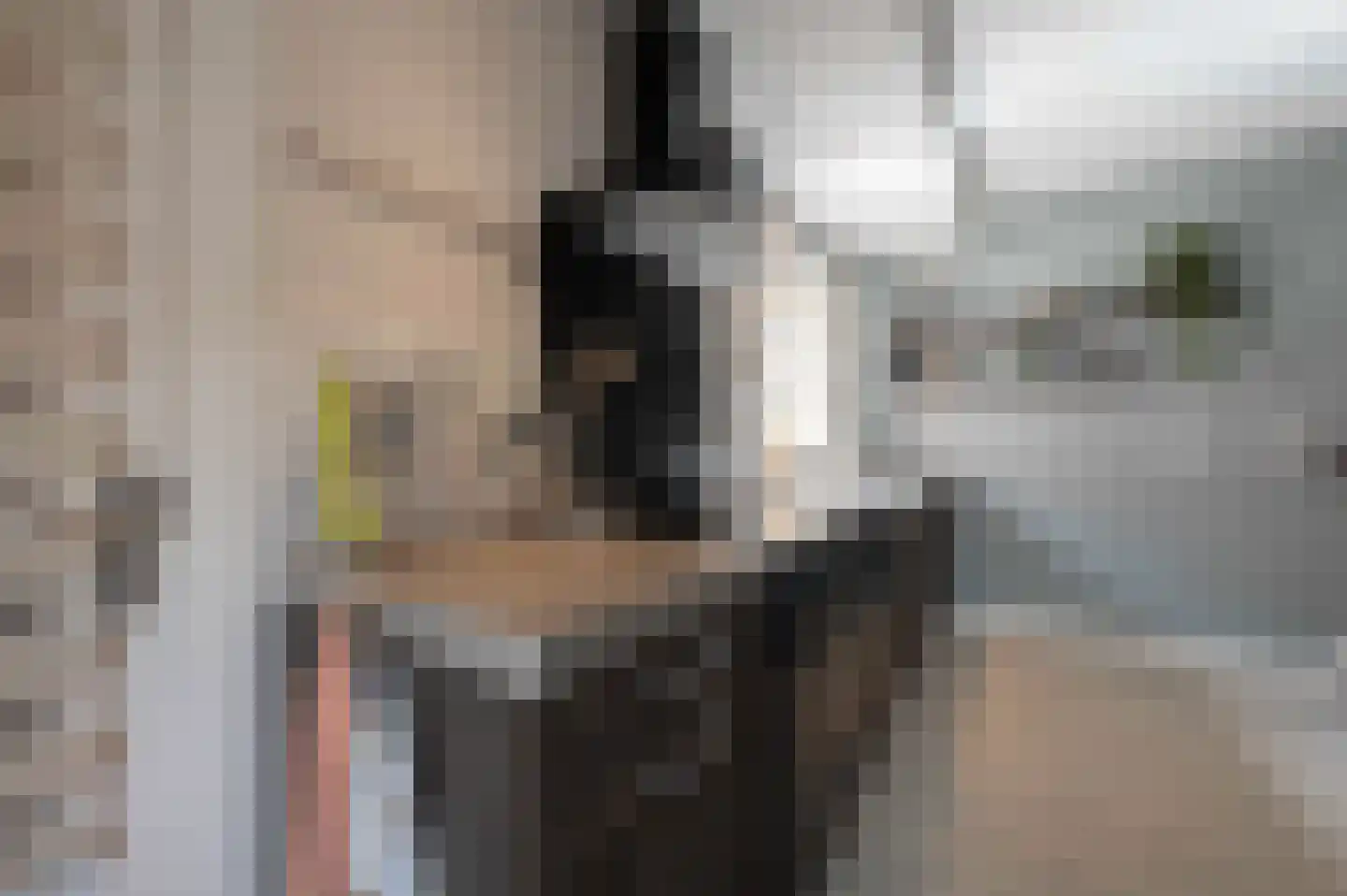 Nieuwstraat 9 Zegge thumbnail 42