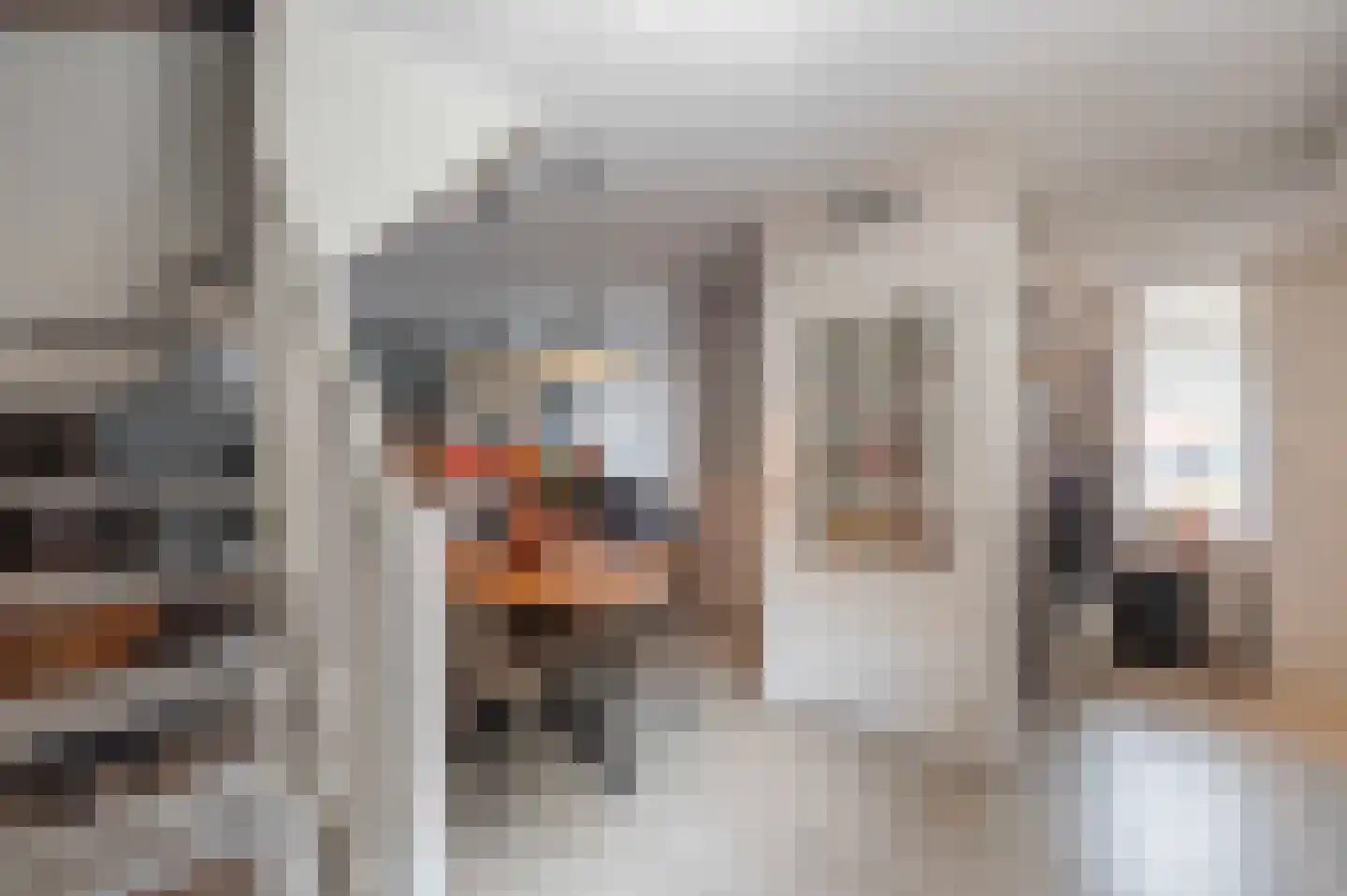 Nieuwstraat 9 Zegge thumbnail 44