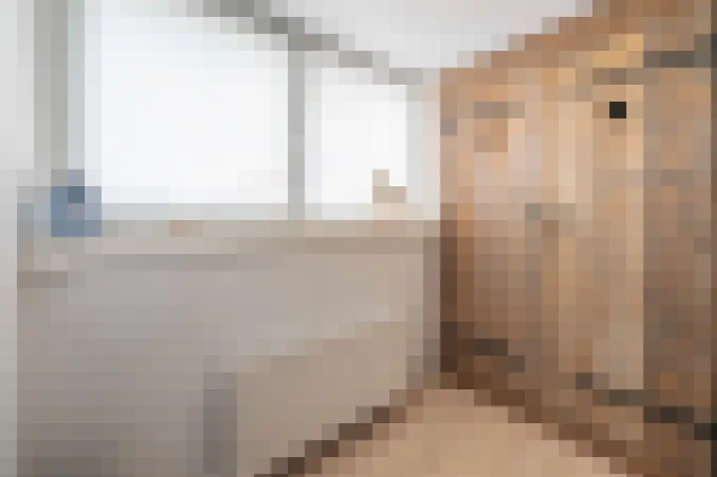 Nieuwstraat 9 Zegge thumbnail 54