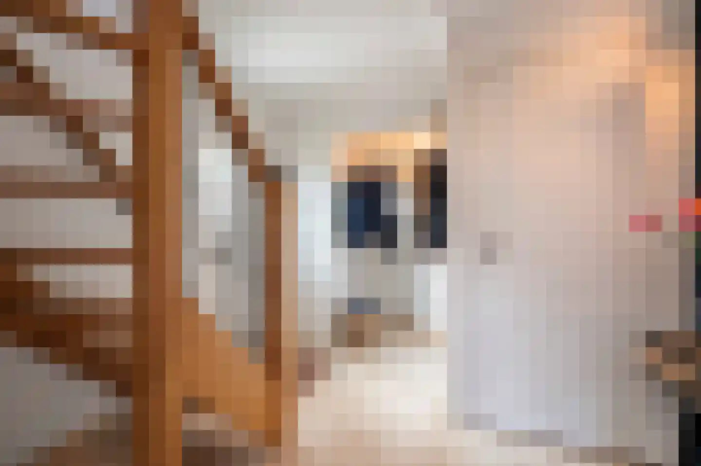 Nieuwstraat 9 Zegge thumbnail 9