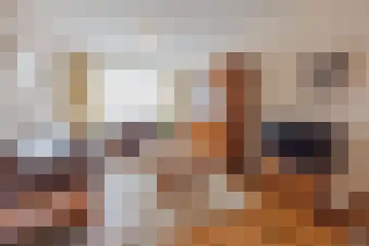 Nieuwstraat 90 Horst thumbnail 10