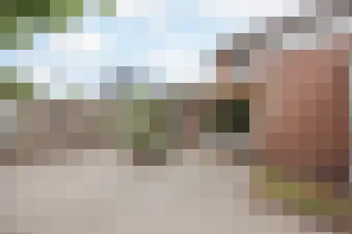 Nieuwstraat 90 Horst thumbnail 33