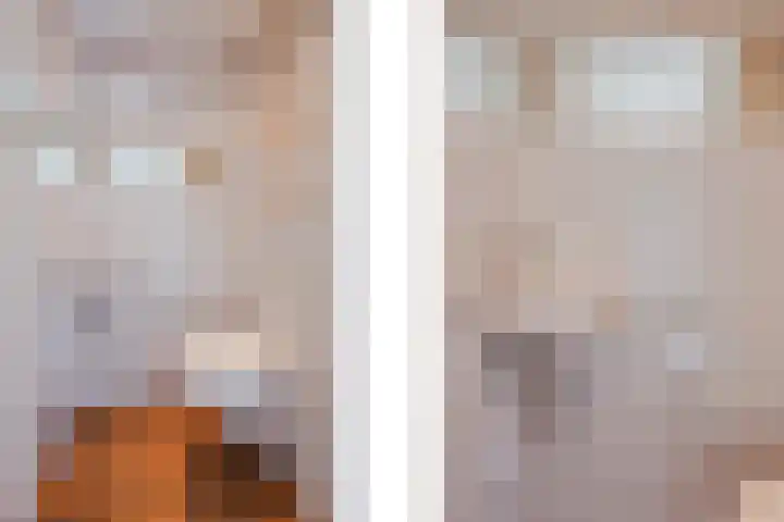 Nieuwstraat 90 Horst thumbnail 9