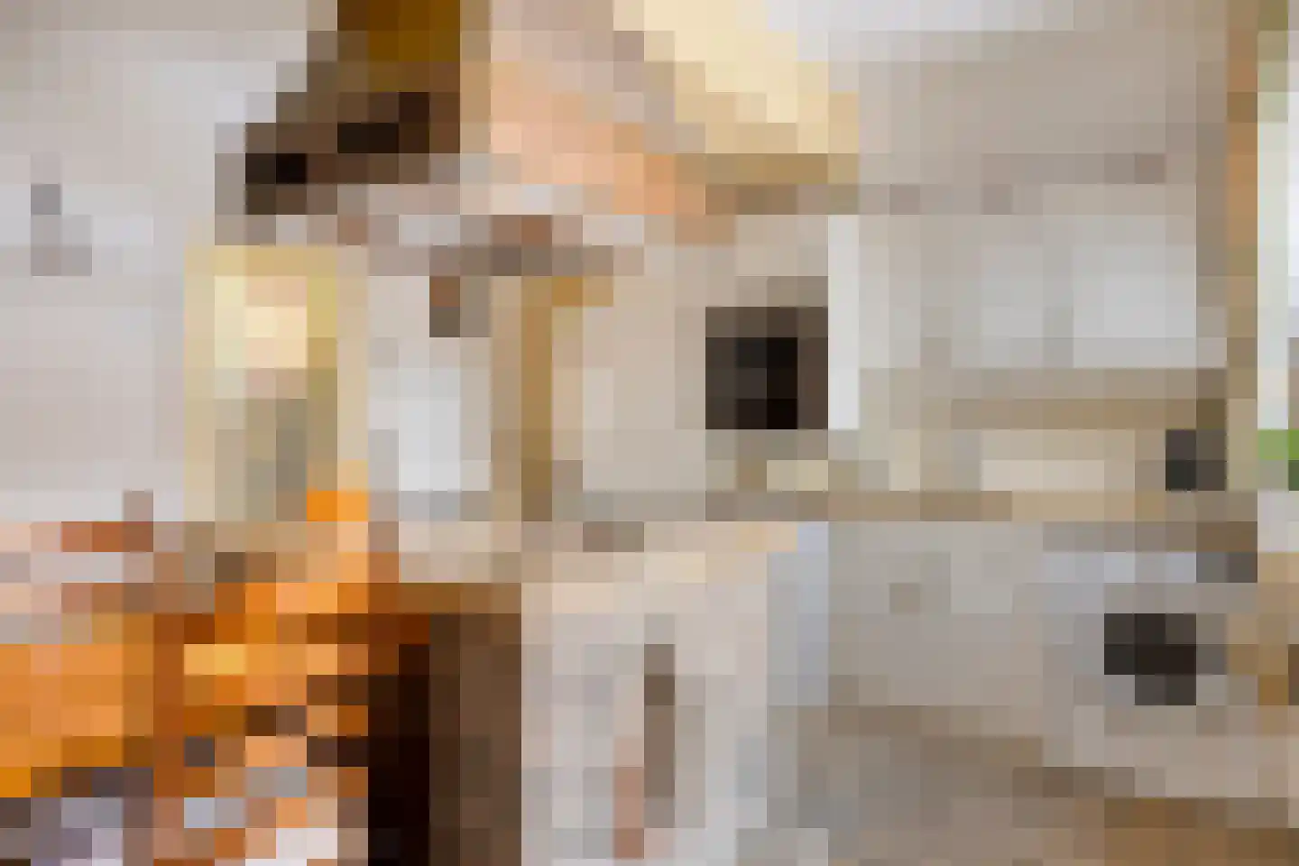 Nieuwstraat 90 Made thumbnail 13