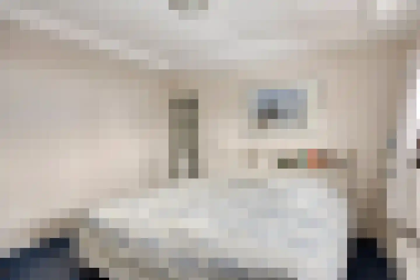 Nieuwstraat 90 Made thumbnail 19
