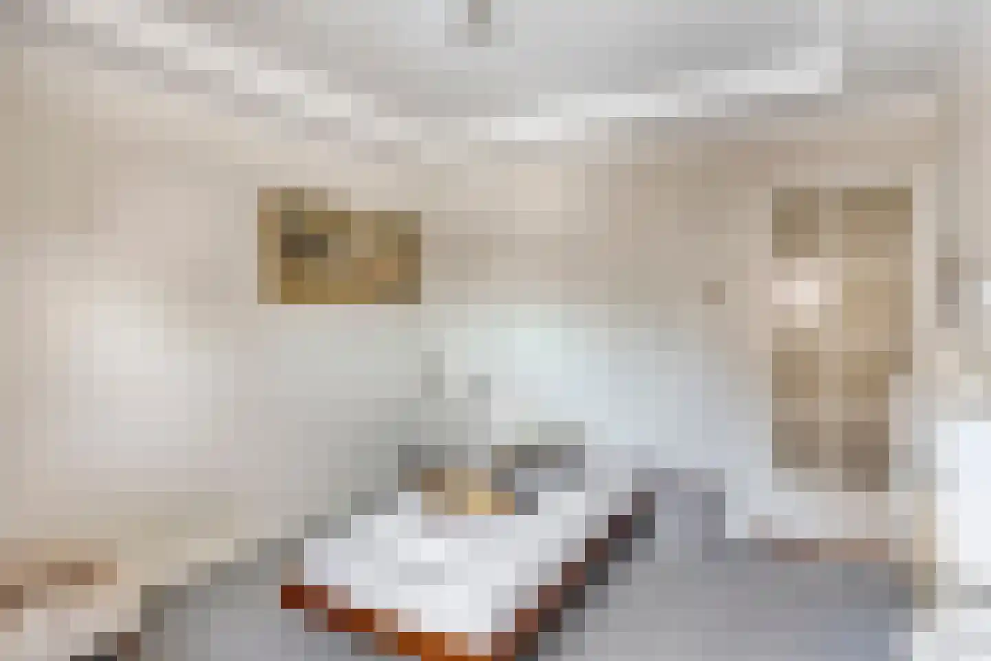 Nieuwstraat 90 Made thumbnail 24