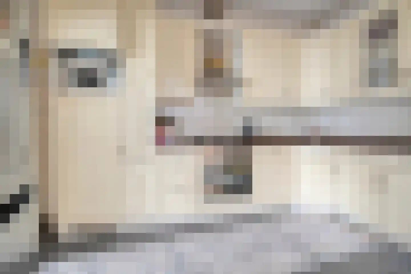 Nieuwstraat 91 Almelo thumbnail 11