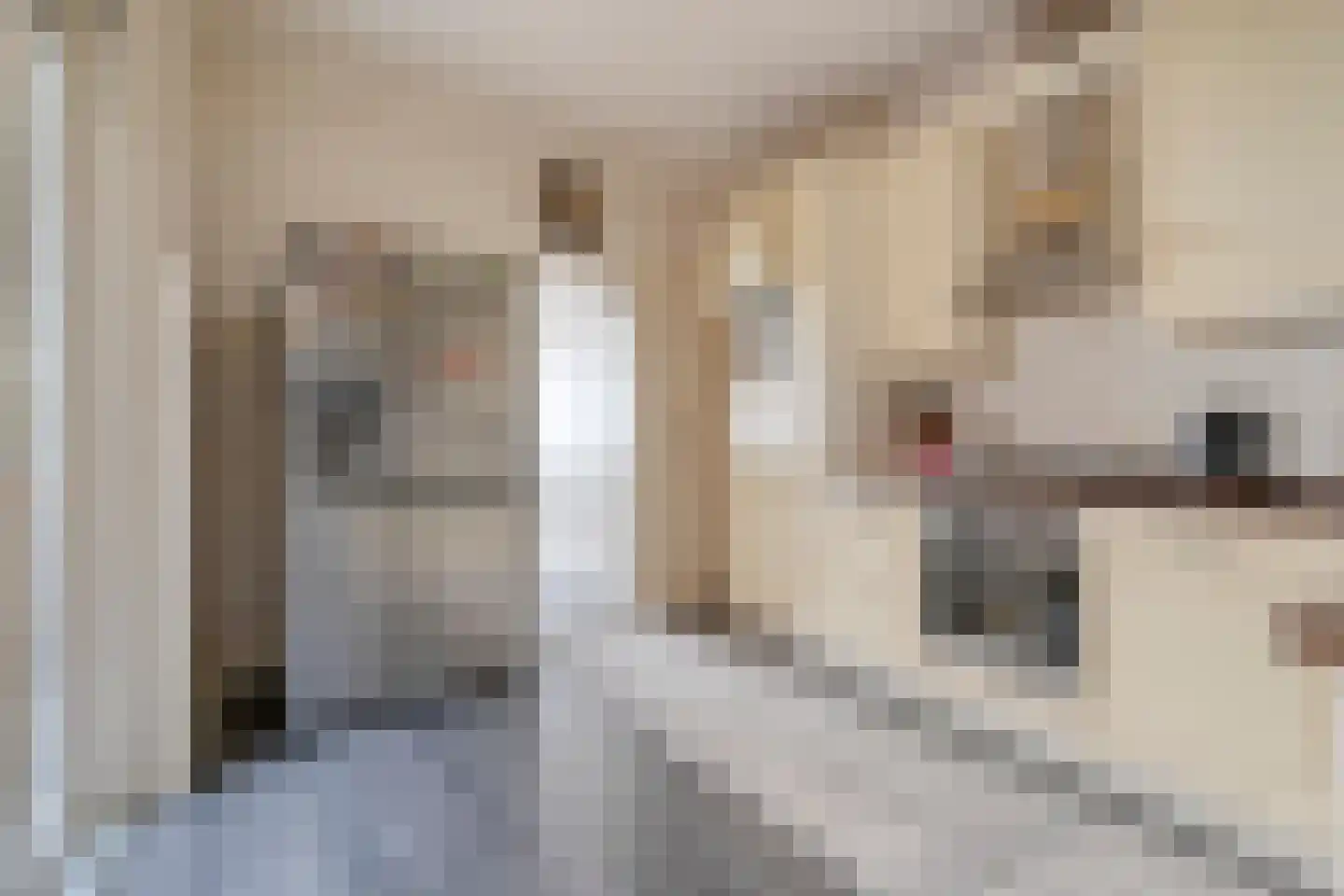 Nieuwstraat 91 Almelo thumbnail 12