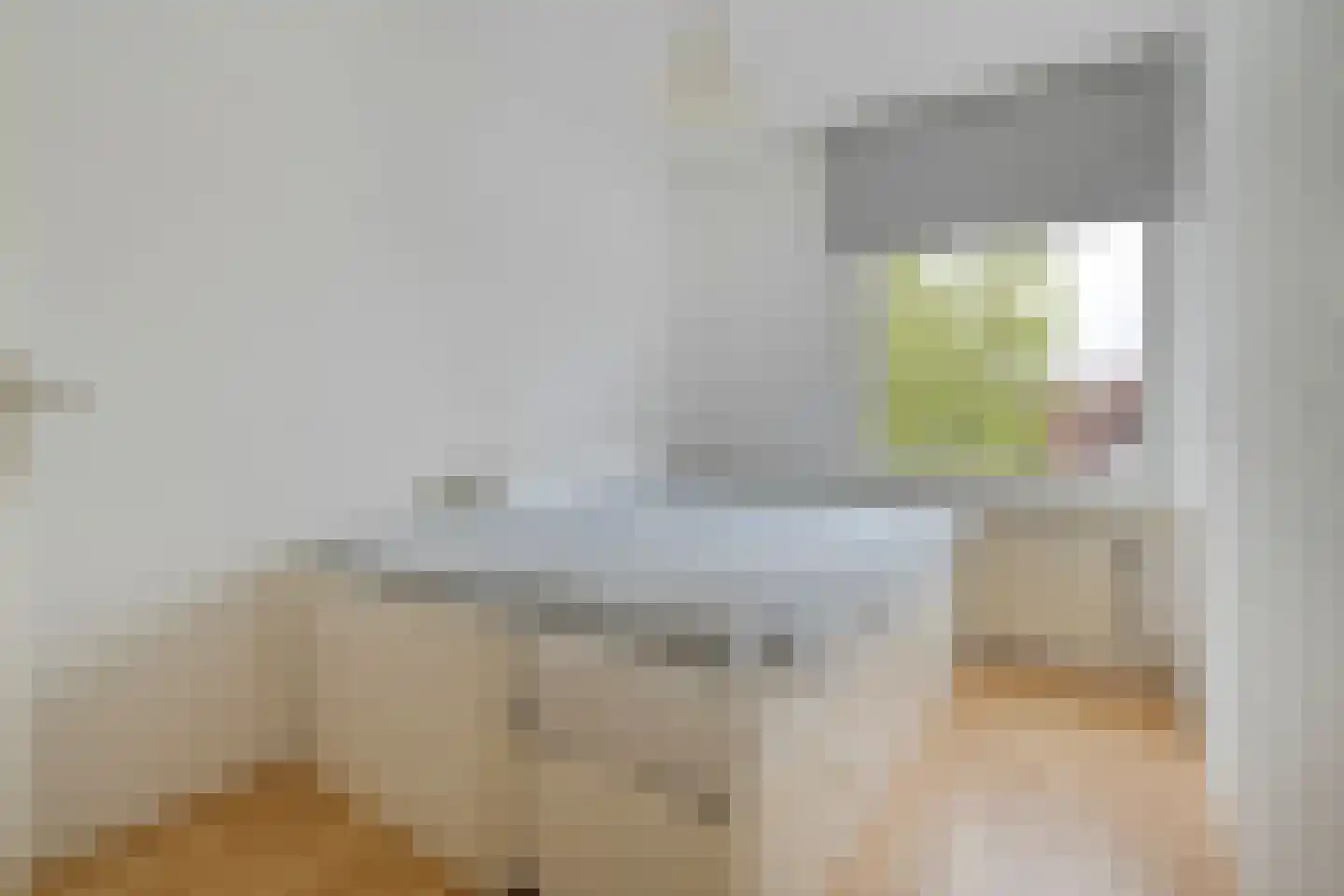 Nieuwstraat 91 Almelo thumbnail 27