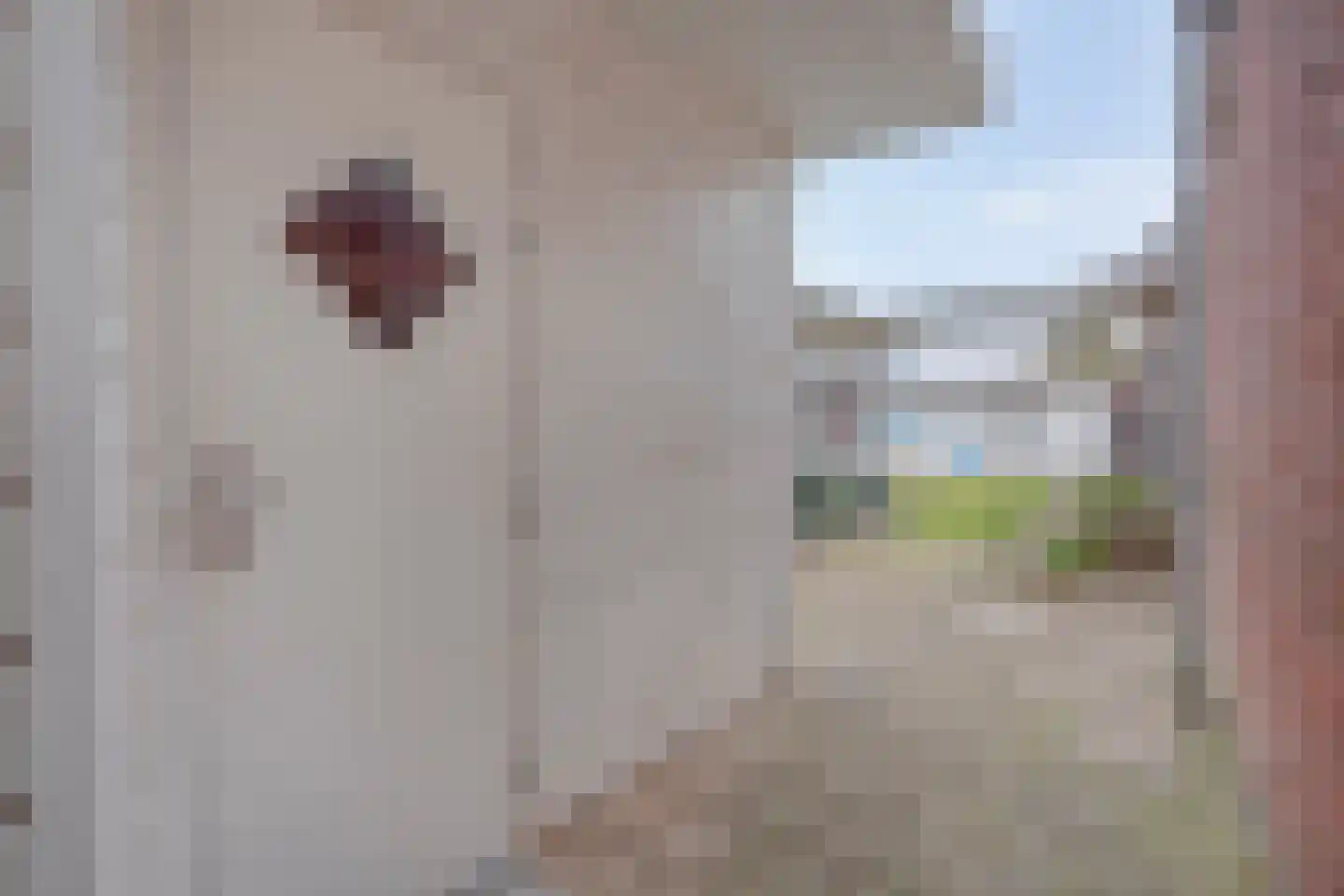 Nieuwstraat 91 Almelo thumbnail 33